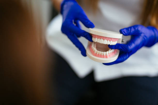 Best Dental Fillings (Composite and Amalgam)  in Columbia Falls, MT